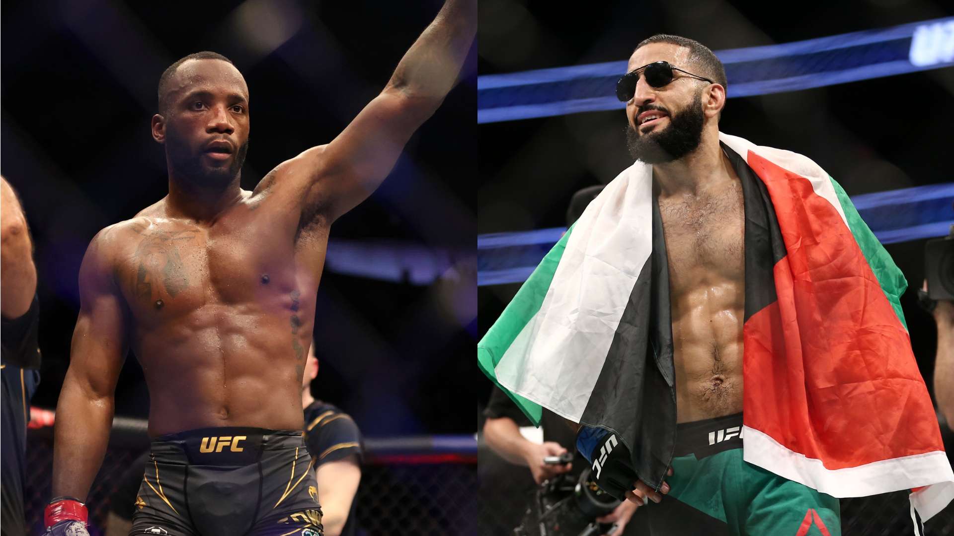 场上的球员 场上的球员